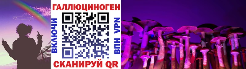Галлюциногенные грибы Psilocybine cubensis  Борзя 